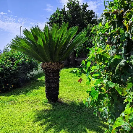 Delle Agavi