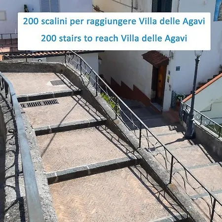 Delle Agavi Apartment